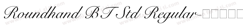 Roundhand BT Std Regular字体转换
